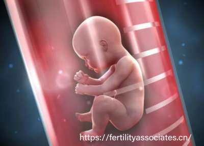 美國試管技術:全球生育醫療的標桿典范